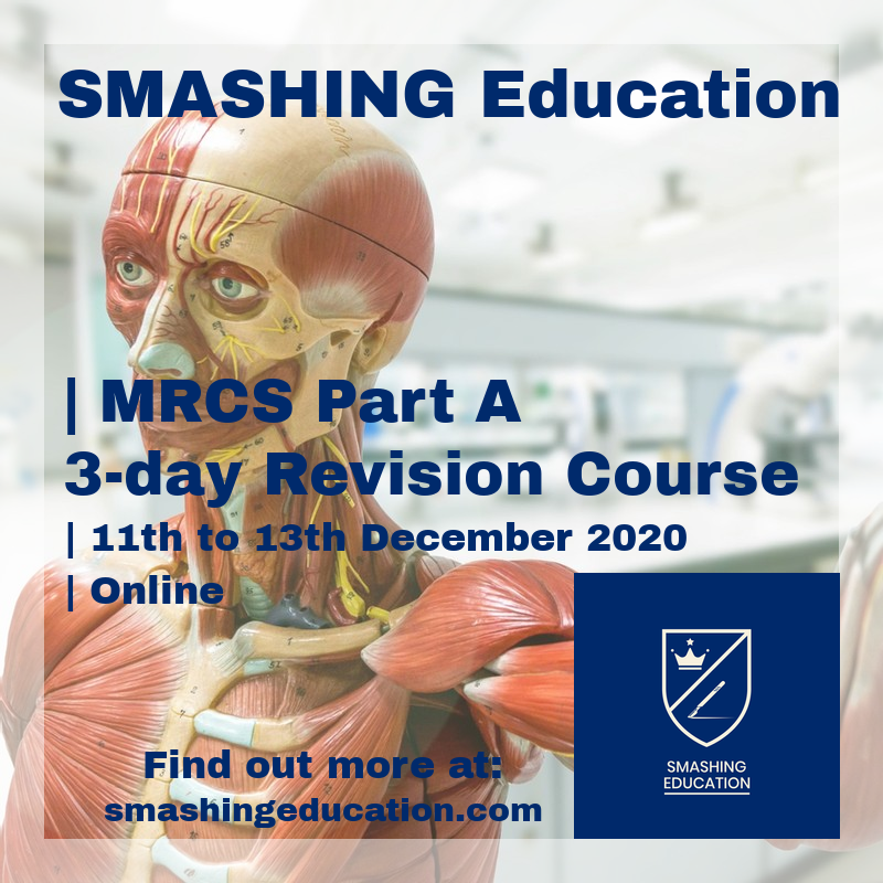 smashing_education_part_a_december_2020_online.jpg